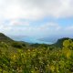100- Le lagon de Raiatea-Tahaa vu du mont Temehani 